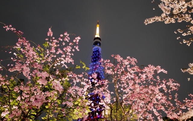 七夕デートなら東京タワーの天の川イルミの胸キュン夜景で決まり♪