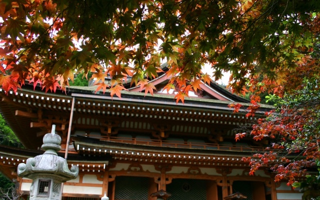 琵琶湖の紅葉　石山寺